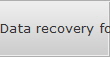 Data recovery for South Detroit data